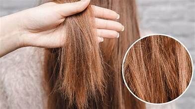 Hair Breakage Repair: How to Reverse the Damage and Restore Your Locks